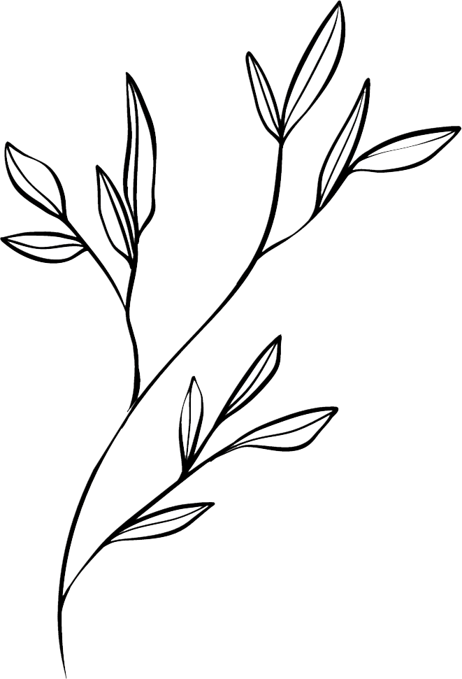 Gathered Roots Herb Growers' Guild